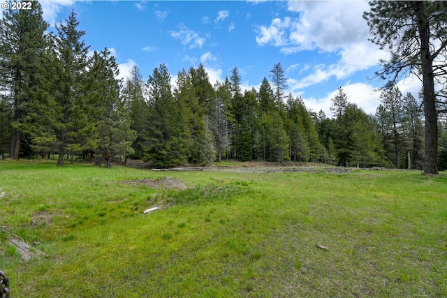 Listing photo 2 for 68868 Forest Service 3030 Rd, Meacham OR 97859