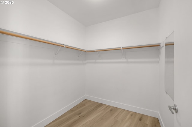 walk in closet with wood-type flooring