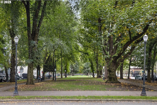 view of surrounding community