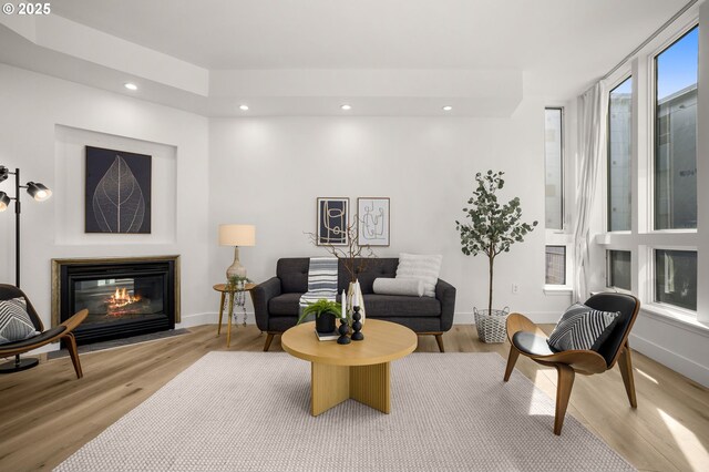 living room featuring light hardwood / wood-style flooring