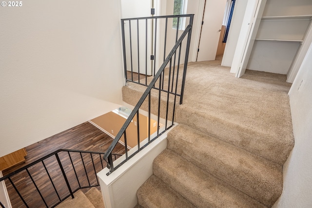 stairway featuring carpet flooring