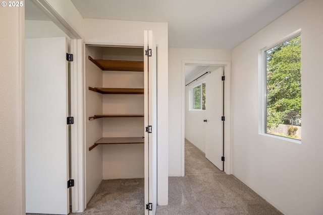 view of closet