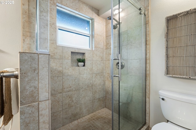 full bathroom featuring a shower stall and toilet