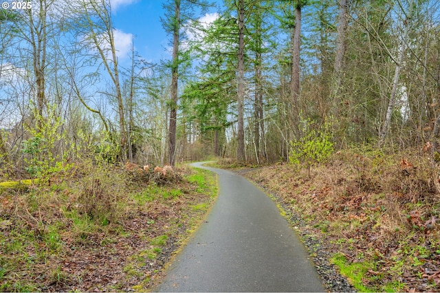 view of road featuring a view of trees