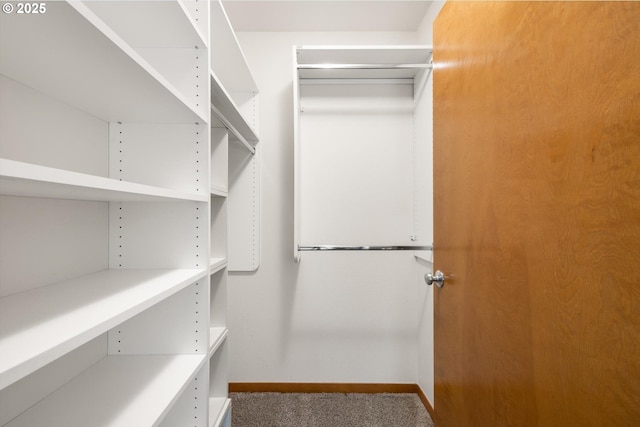 2350 NW Savier St Unit 100, Portland, OR 97210 - walk in closet with carpet floors