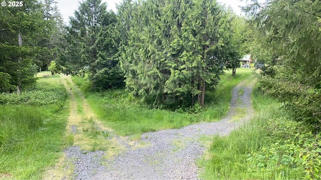 31431 Fairview Rd, Rainier, OR 97048 - view of undeveloped land