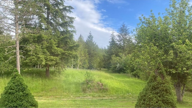 31431 Fairview Rd, Rainier, OR 97048 - view of tree filled area