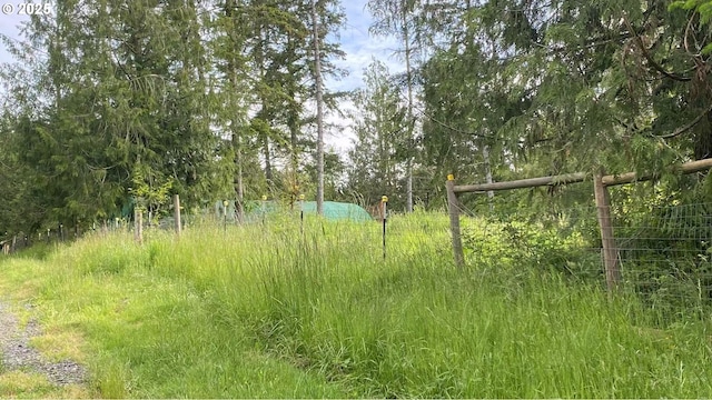 31431 Fairview Rd, Rainier, OR 97048 - view of nature