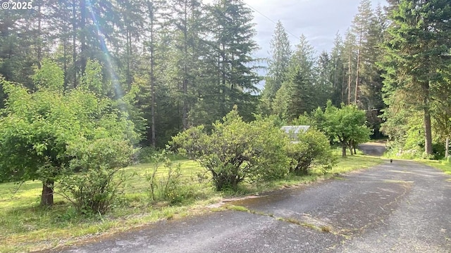 31431 Fairview Rd, Rainier, OR 97048 - view of road