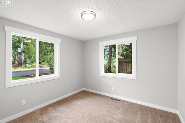 18240 SW Jay St, Beaverton, OR 97003 - spare room featuring plenty of natural light, carpet floors, and a textured ceiling