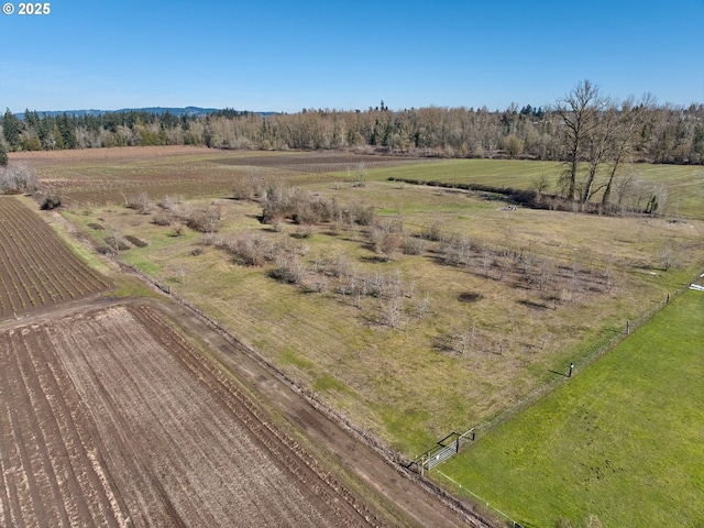birds eye view of property featuring a rural view