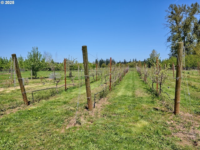 view of landscape featuring a rural view