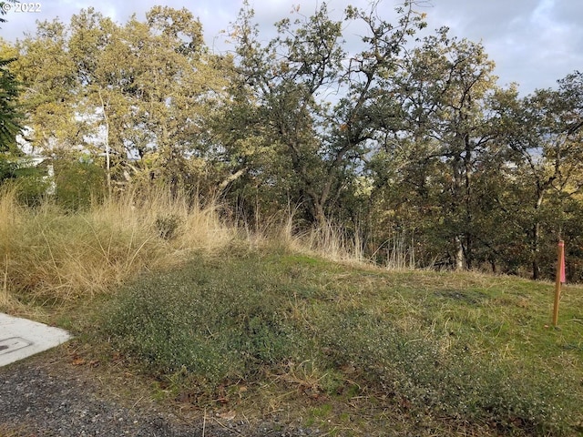 E Scenic Dr, The Dalles, OR 97058