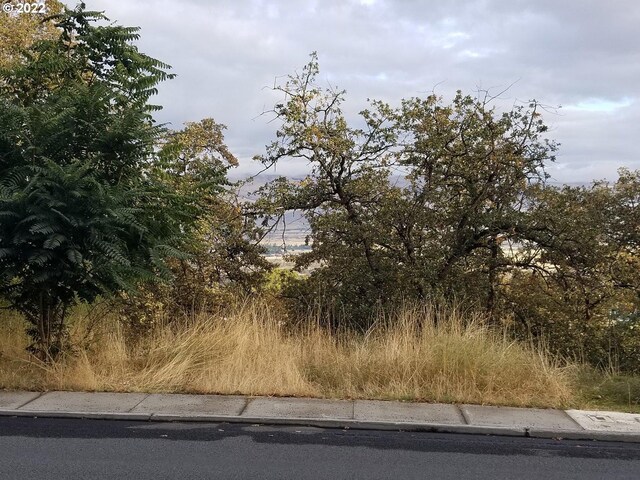 E Scenic Dr, The Dalles, OR 97058
