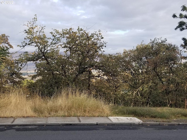 E Scenic Dr, The Dalles, OR 97058