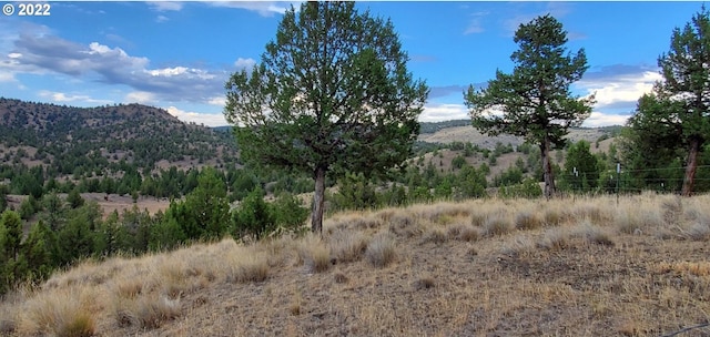 view of mountain feature