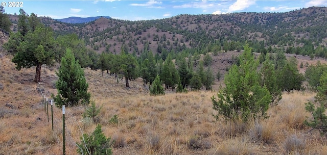 view of mountain view