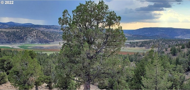 view of mountain view