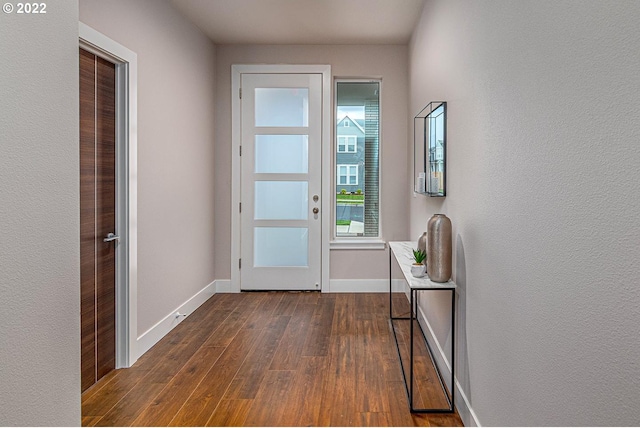 entrance foyer with dark hardwood / wood-style flooring