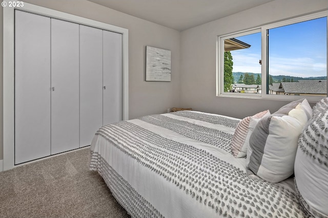 bedroom featuring carpet floors and a closet