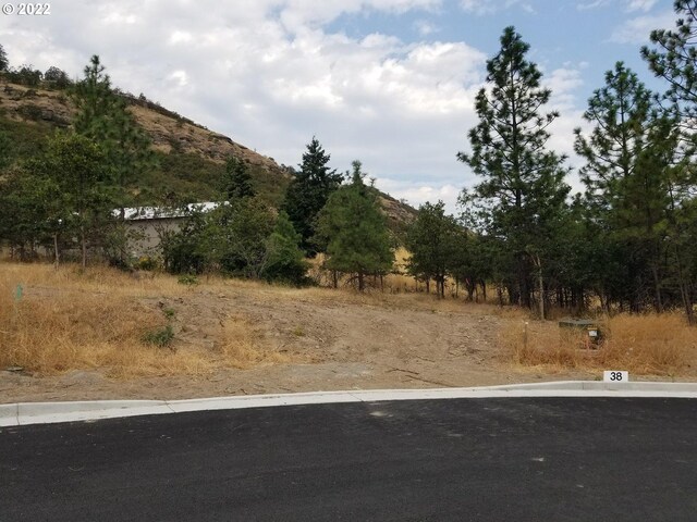 Gordon Ct Unit 38, The Dalles OR, 97058 land for sale