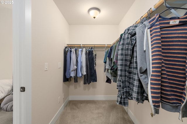 13193 SW Aubergine Ter, Sherwood, OR 97140 - walk in closet featuring carpet floors