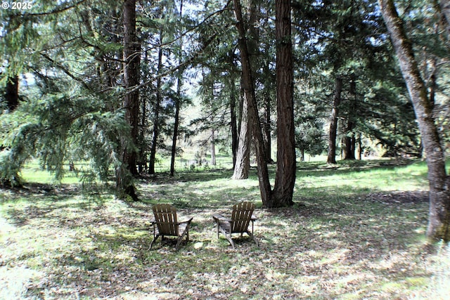 924 Lou Gray Dr, Myrtle Creek, OR 97457 - view of yard