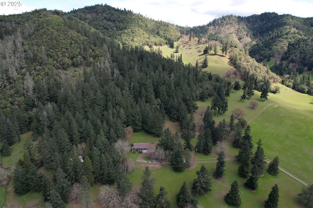 924 Lou Gray Dr, Myrtle Creek, OR 97457 - birds eye view of property featuring a mountain view and a view of trees
