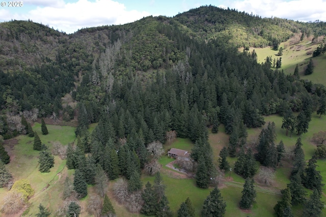 924 Lou Gray Dr, Myrtle Creek, OR 97457 - exterior space featuring a forest view and a mountain view