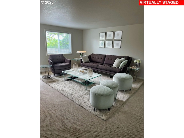 1680 22nd St, Florence, OR 97439 - carpeted living area with baseboards