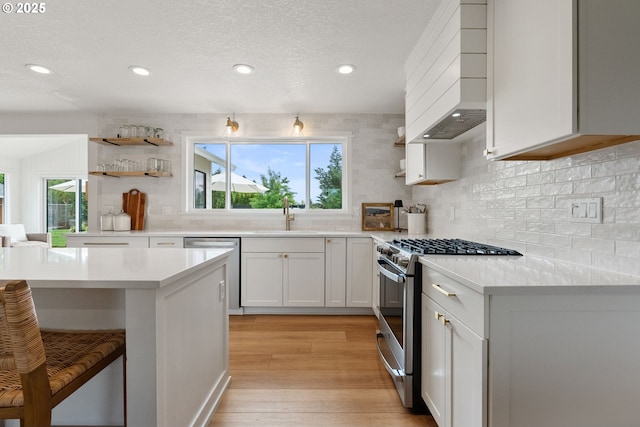 kitchen with a sink, appliances with stainless steel finishes, custom exhaust hood, and light countertops
