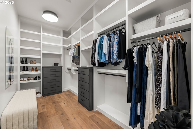 NE 43rd Cir Lot 5, Camas, WA 98607 - spacious closet featuring light wood-style floors