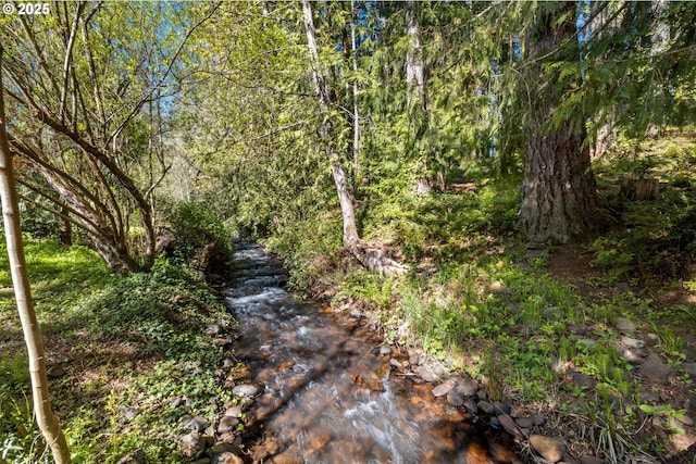 22345 S Poplar Rd, Estacada, OR 97023 - view of local wilderness