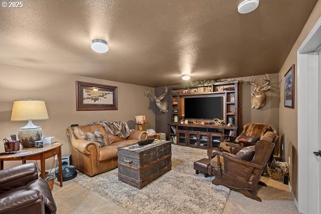 680 S Alfalfa St, Heppner, OR 97836 - living area with carpet and a textured ceiling