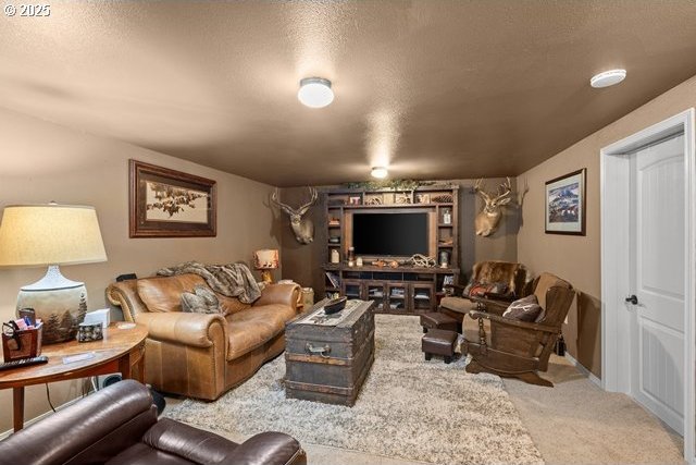 680 S Alfalfa St, Heppner, OR 97836 - carpeted living area featuring a textured ceiling