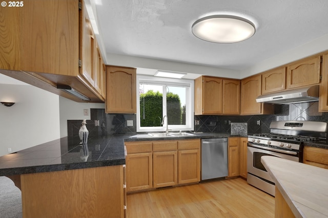 kitchen with appliances with stainless steel finishes, a sink, decorative backsplash, light wood-type flooring, and under cabinet range hood