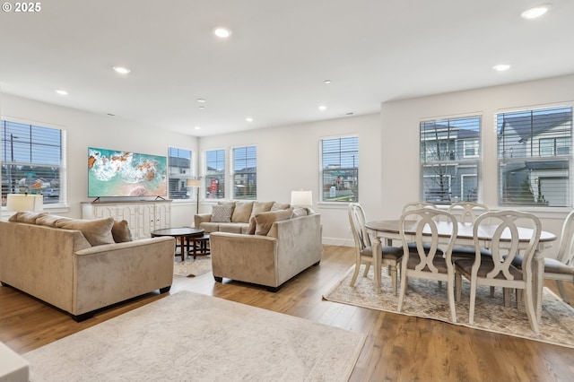 living room with light hardwood / wood-style floors and plenty of natural light