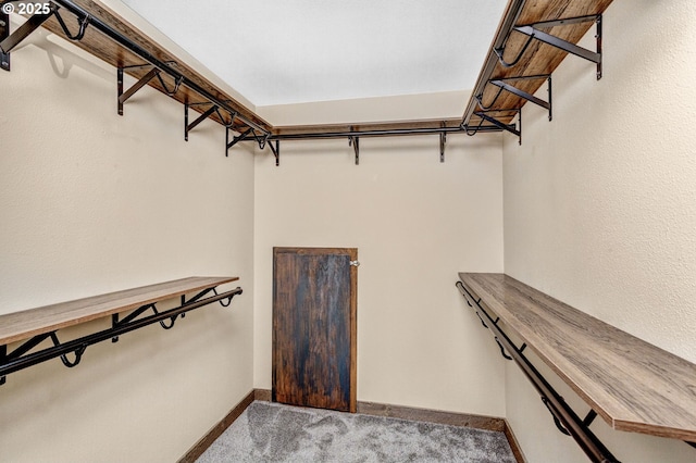 3017 SE Brookwood Ave, Hillsboro, OR 97123 - spacious closet featuring carpet floors