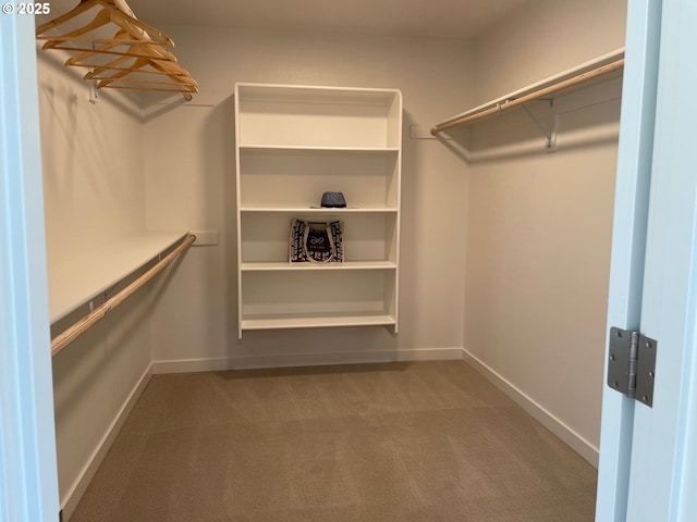 7839 SW Thornbridge Ter Unit 10, Beaverton, OR 97007 - walk in closet with carpet