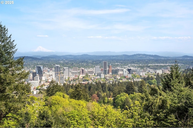 3110 NW Monte Vista Ter, Portland, OR 97210 - property's view of city with a mountain view