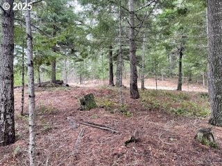 Kida Rd # 2, White Salmon WA, 98672 land for sale