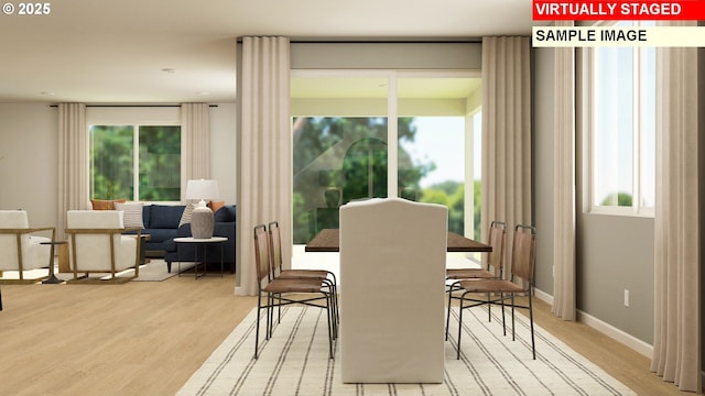 dining area with light hardwood / wood-style flooring