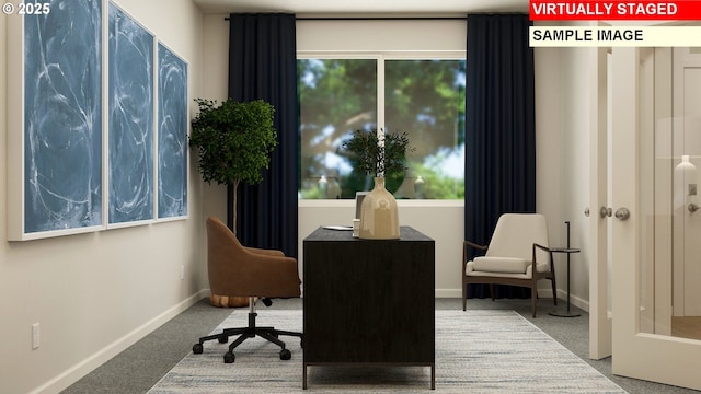 sitting room featuring carpet flooring