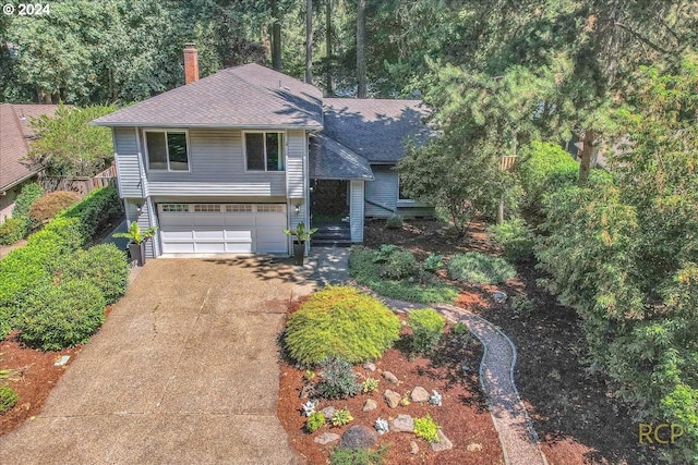 view of front of house with a shingled roof and a chimney