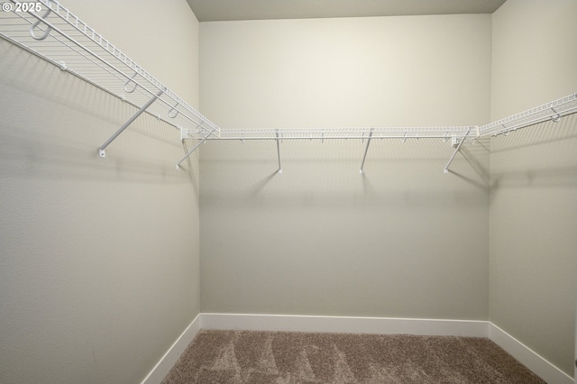 walk in closet featuring carpet flooring