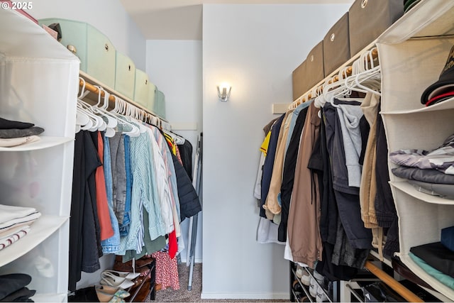 view of spacious closet