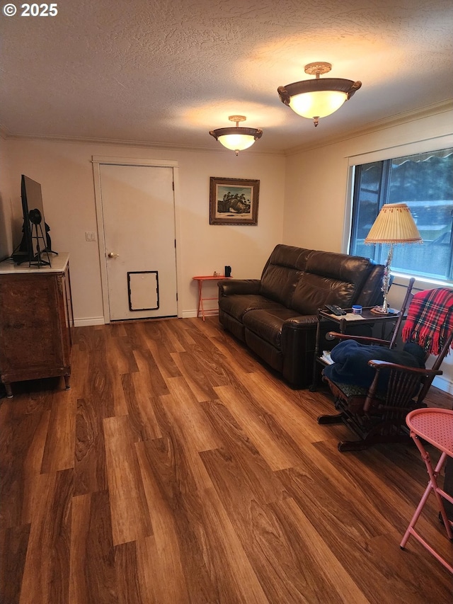 living room featuring wood finished floors, baseboards, and a textured ceiling