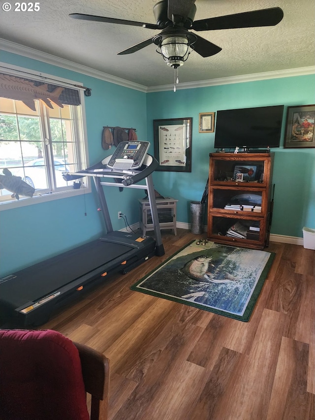 exercise area with a ceiling fan, ornamental molding, wood finished floors, and a textured ceiling