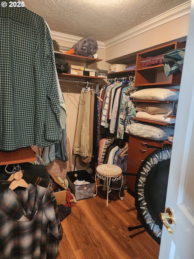 walk in closet with wood finished floors