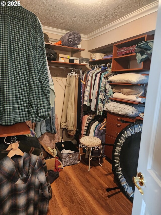 spacious closet featuring wood finished floors